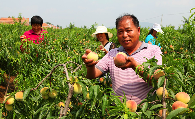 ���������й���֮��