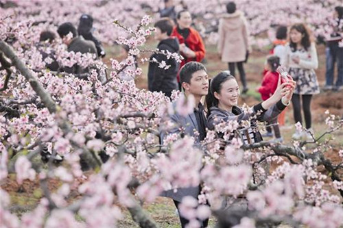 ���������  չ������