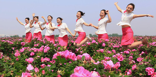 ����õ�庣