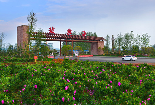 õ������õ�庣