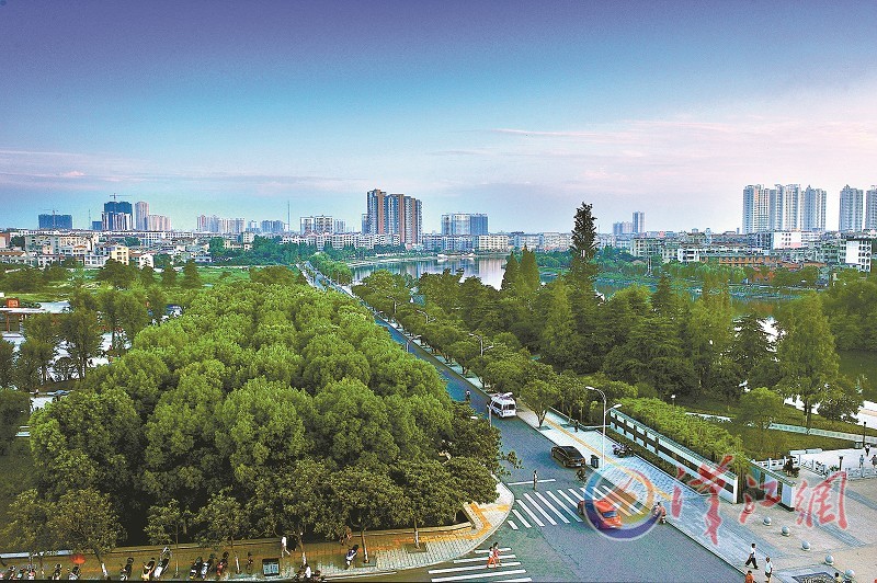 ������ɫ֮��