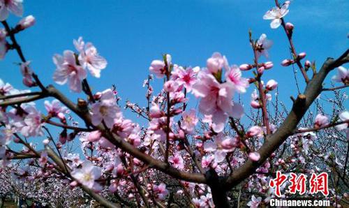 ���й���֮�硱���������һ�ʢ�������ο������