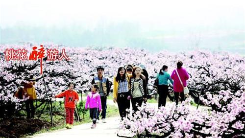 �������������������Ρ�2014�����һ���ʢװ��Ļ