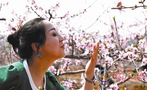 �һ�����